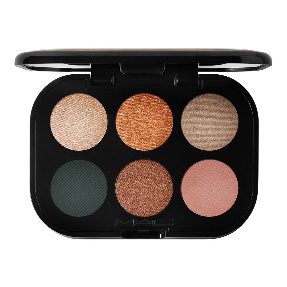 Connect In Color 6-Pan Eyeshadow Palette