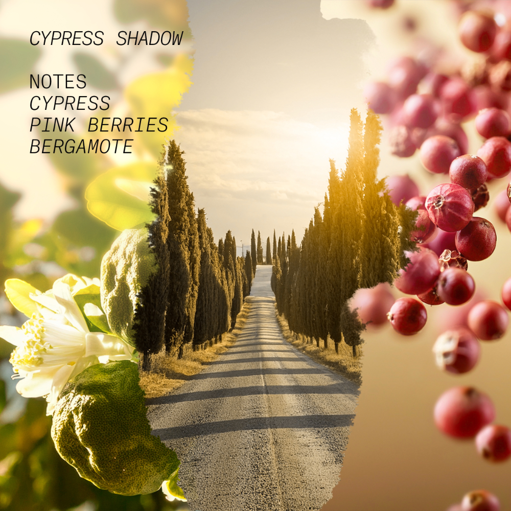 Beli L'Atelier Parfum Cypress Shadow Eau De Parfum | Sephora Indonesia
